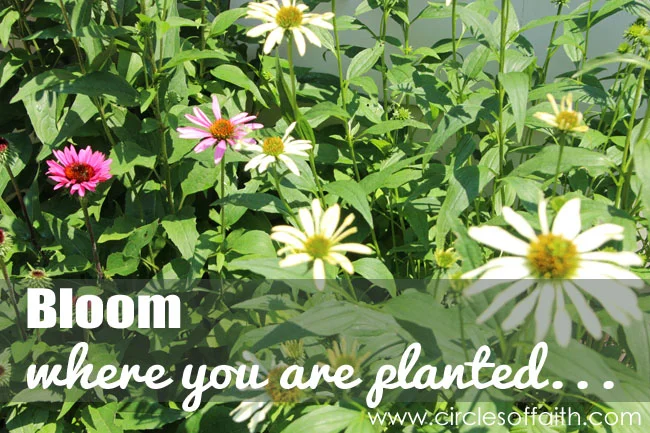 The MAKE IT Program - A Powerful Way to Impact Your Community