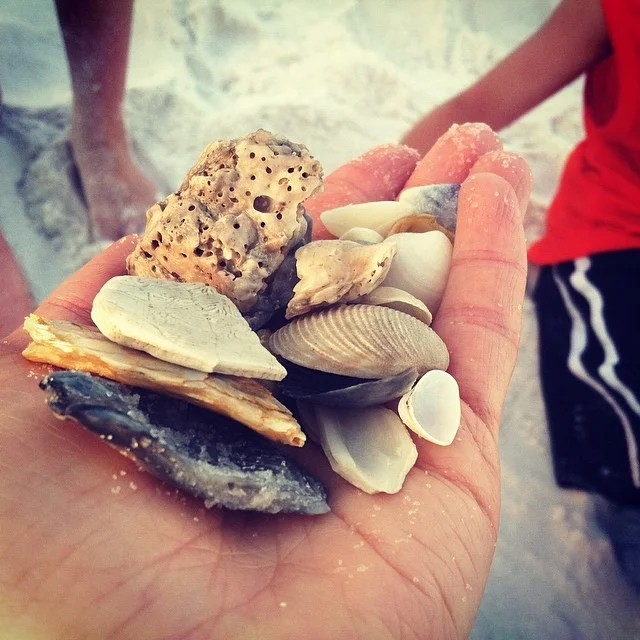 Wrapping Up Your Abundant Summer with Thanksgiving