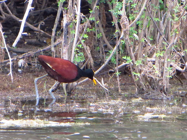 We Can All Take Steps to Protect Our Earth