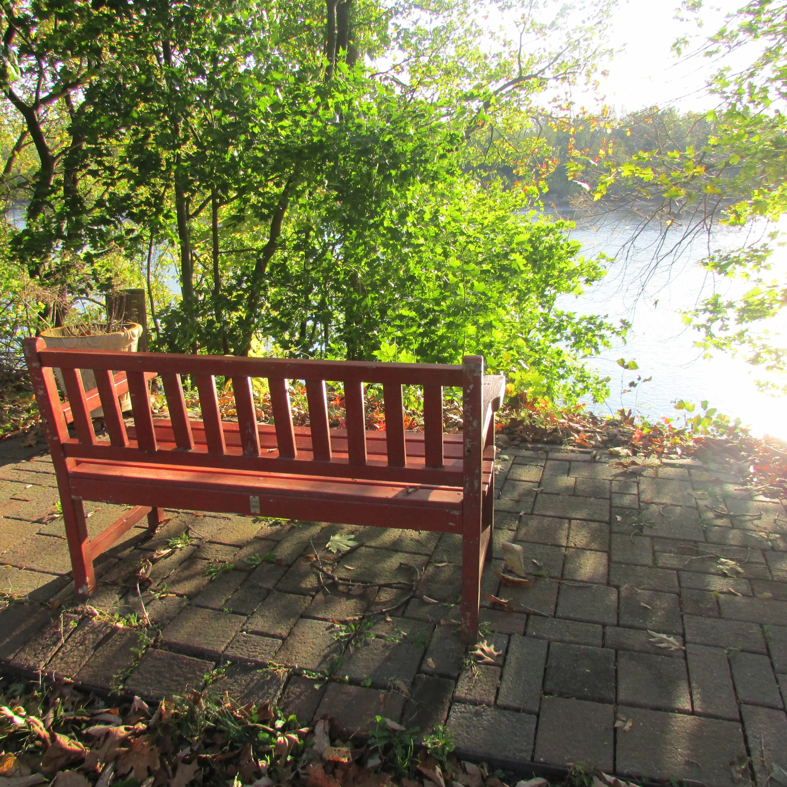 How to Have the Best Date of Your Life