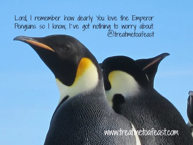 Even the Emperor Penguins are loved by God…