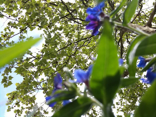 Changing Perspective