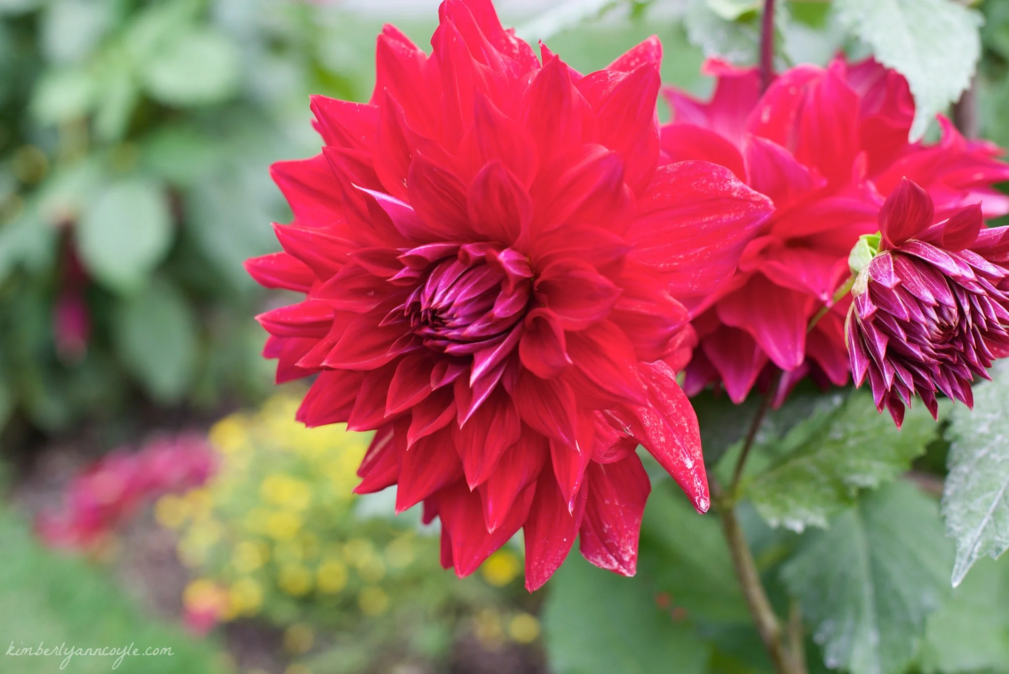 Where Do You Find God?