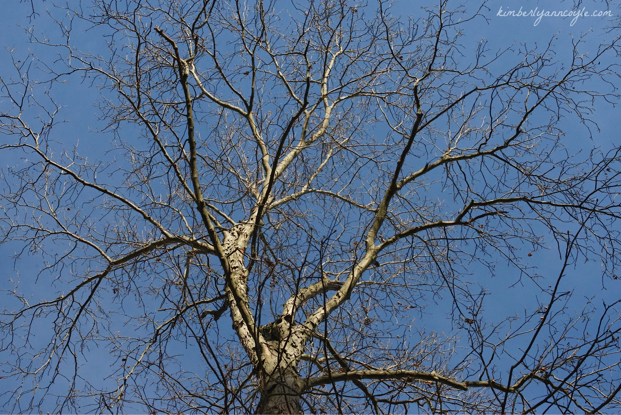 Losing Your Daddy and Finding Your Father