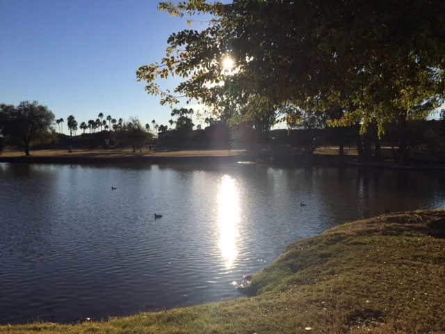 The Sanctuary of Quiet Moments