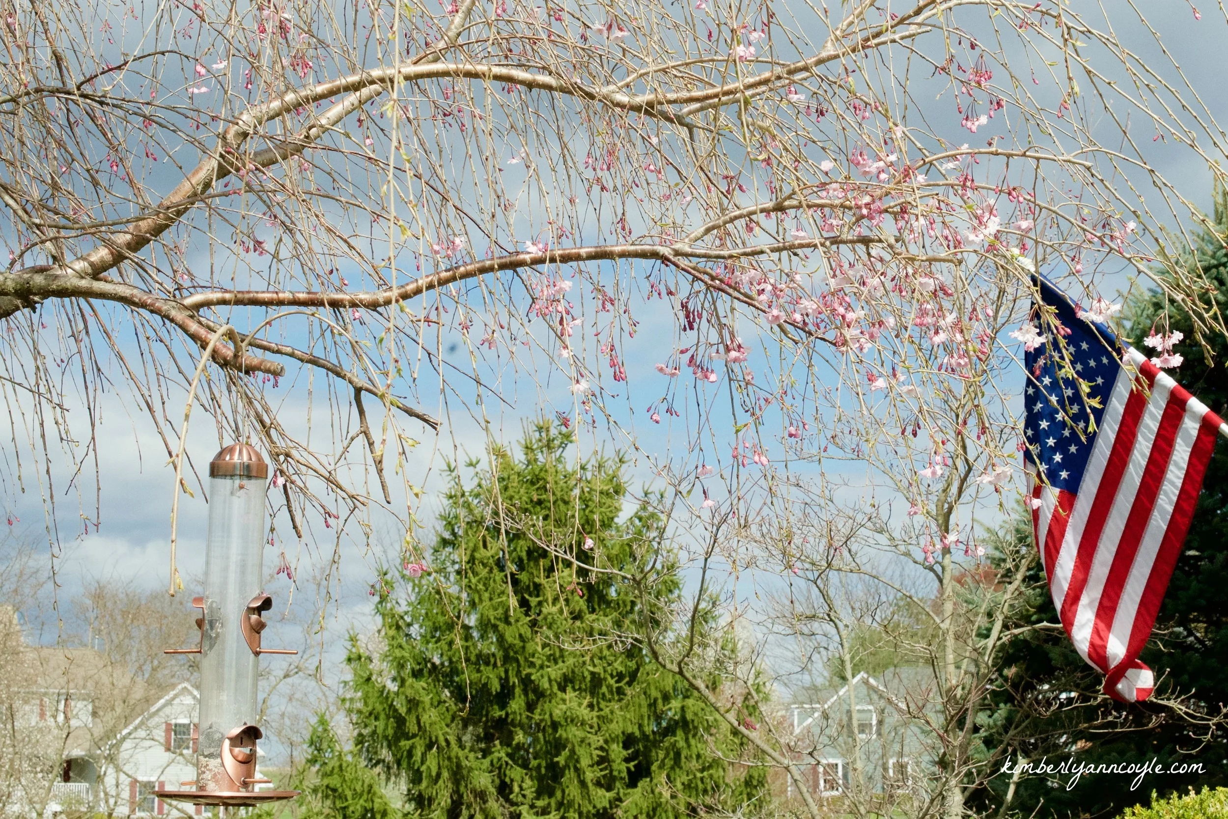 Growing Into Our Lives Through Seasons of Change