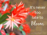 The ChrEaster Cactus - It's Never Too Late to Bloom