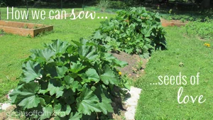 How We Can Sow Seeds of Love