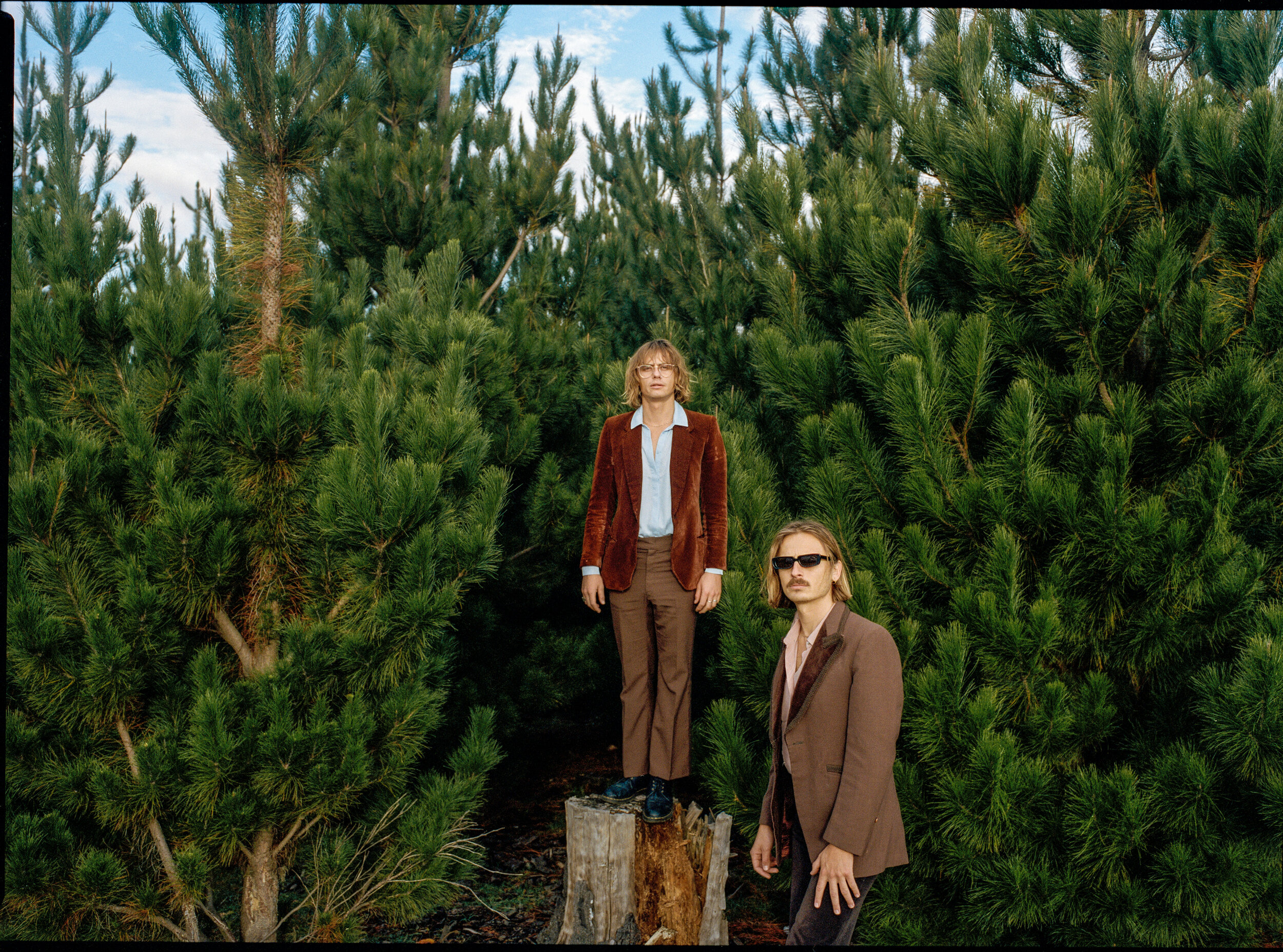  Screw Loose | Lime Cordiale 