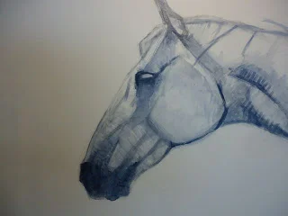 horse4.jpg
