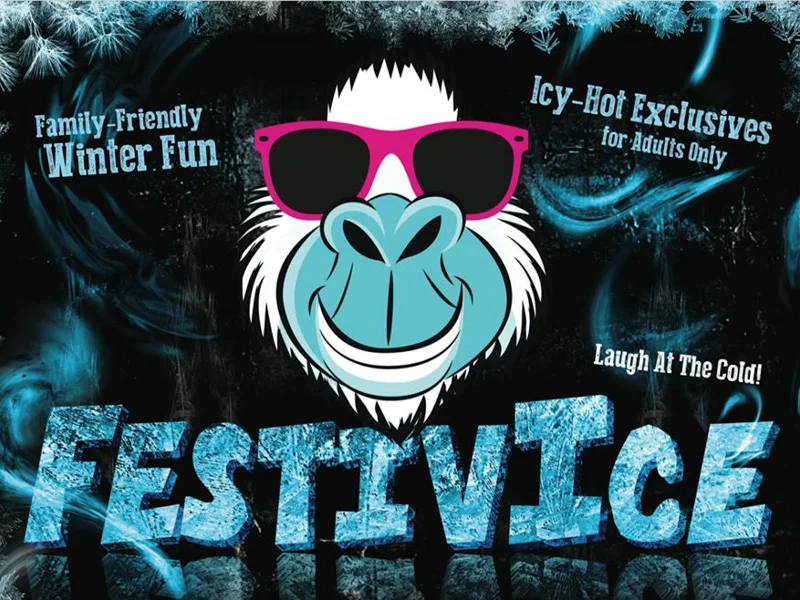 FestivICE