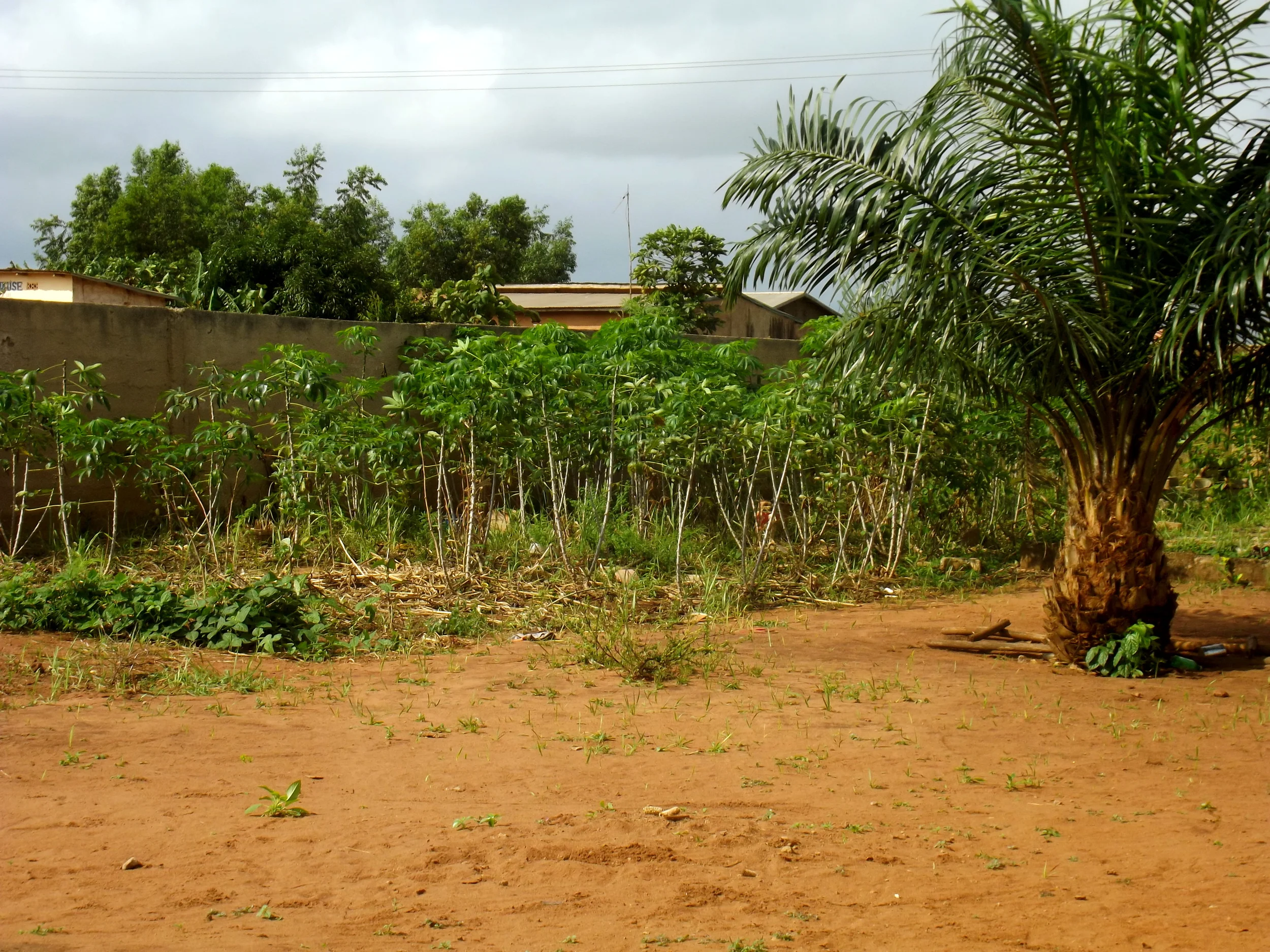 DSCF1132.JPG