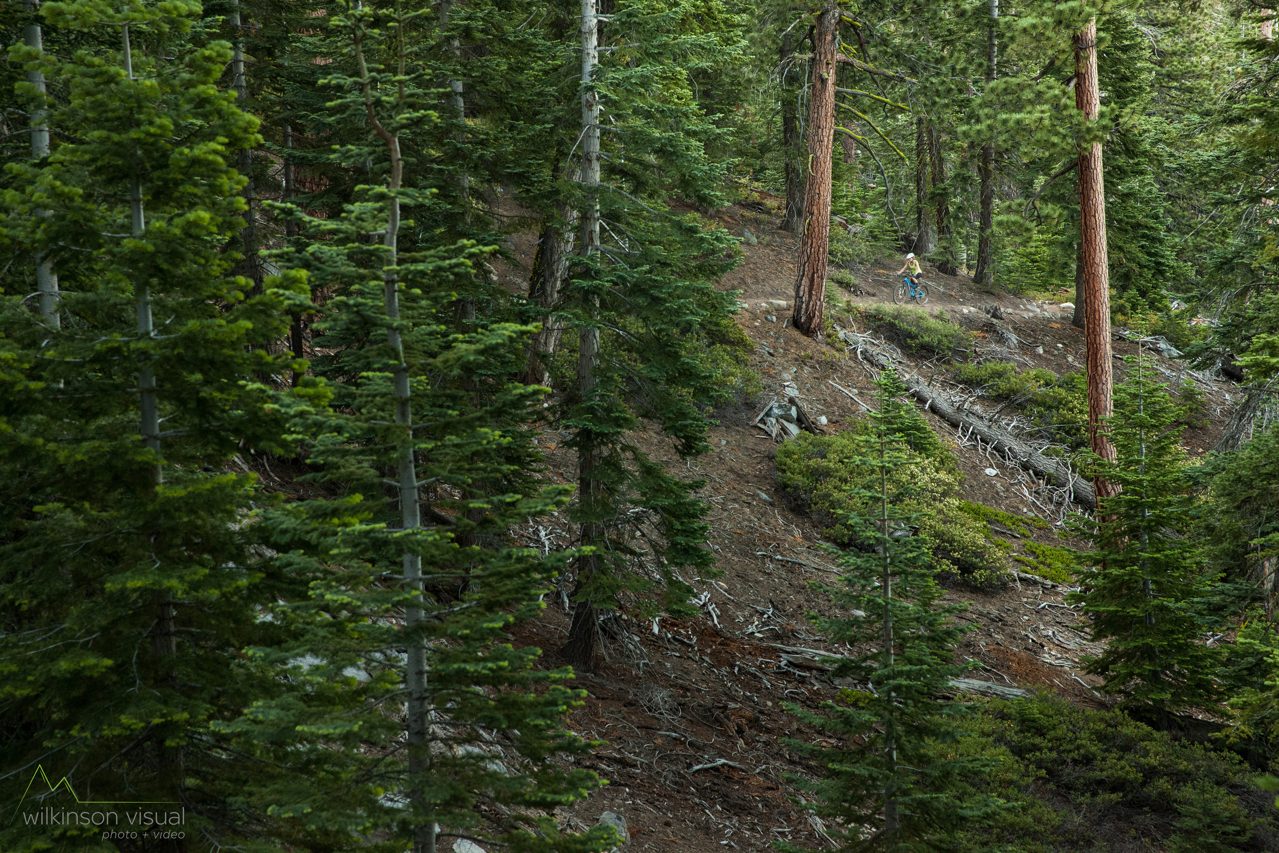 road-trip-2015-375-Edit.jpg