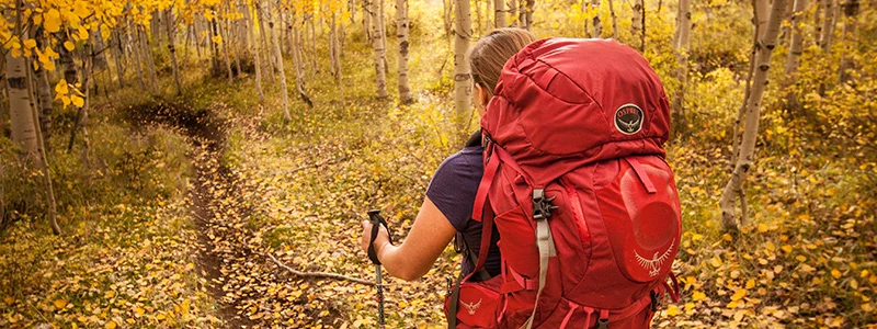 Hands-On Photography Workshop Coming this Fall in Minnesota!