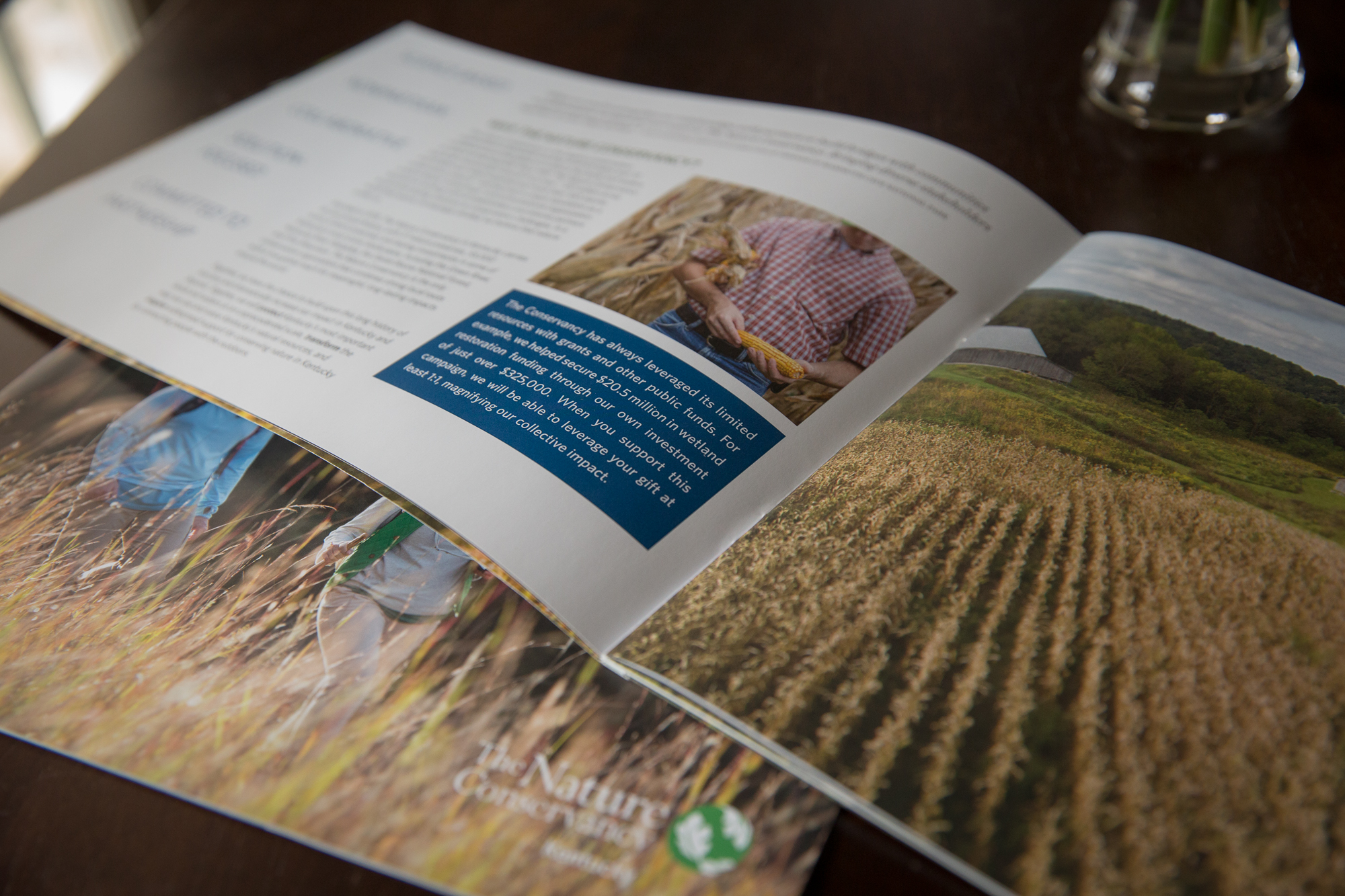 The final printed booklets for the Case Statement and 2017 Year in Review.