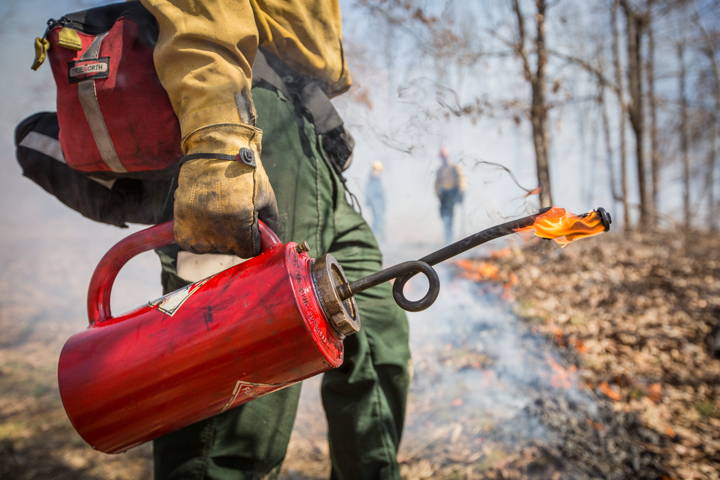 Controlled burns by The Nature Conservancy and the USFS near Elizabethtown, Kentucky, at the Eastview Barrens Nature Preserve.