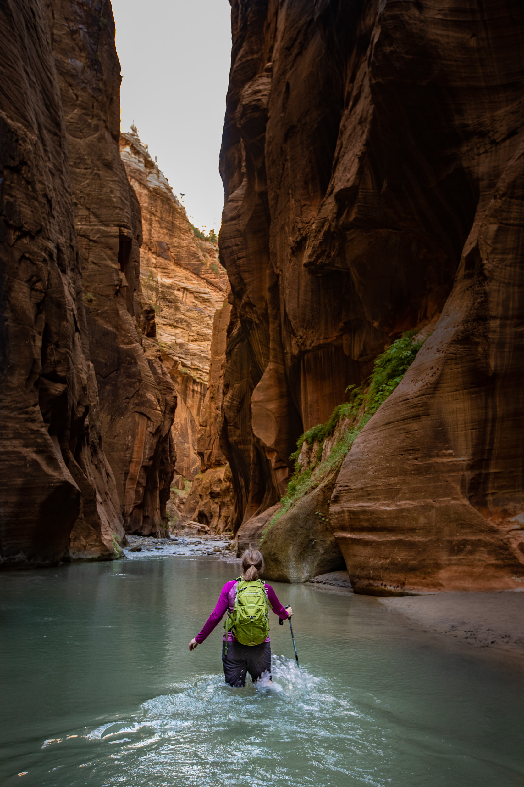 Hiking the narrows in Zion National Park.