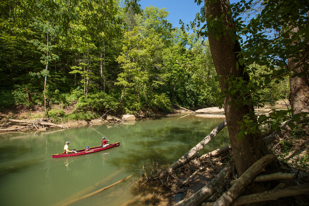  Photos from the Red River Canoe Race, part of the Wild and Scenic Red Riverfest. 