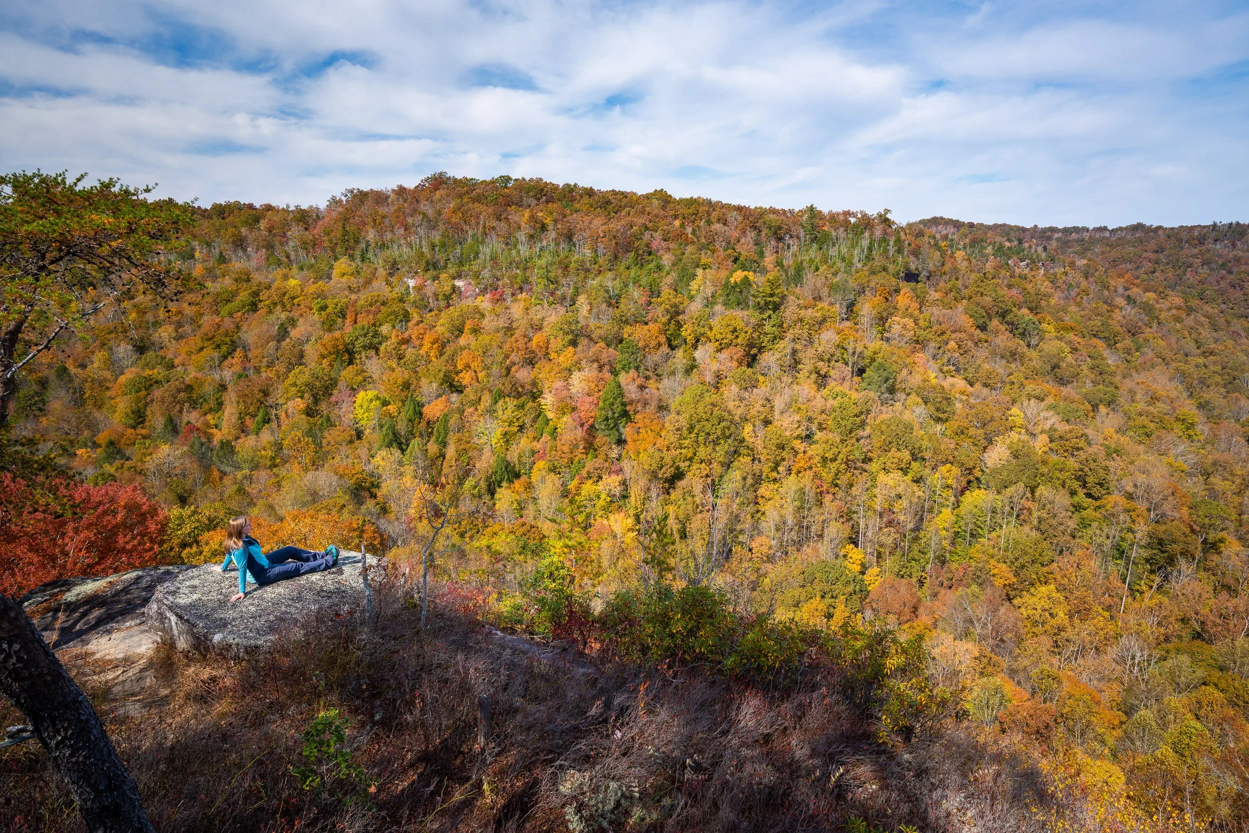 wilkinson-fall-colors-02868.jpg