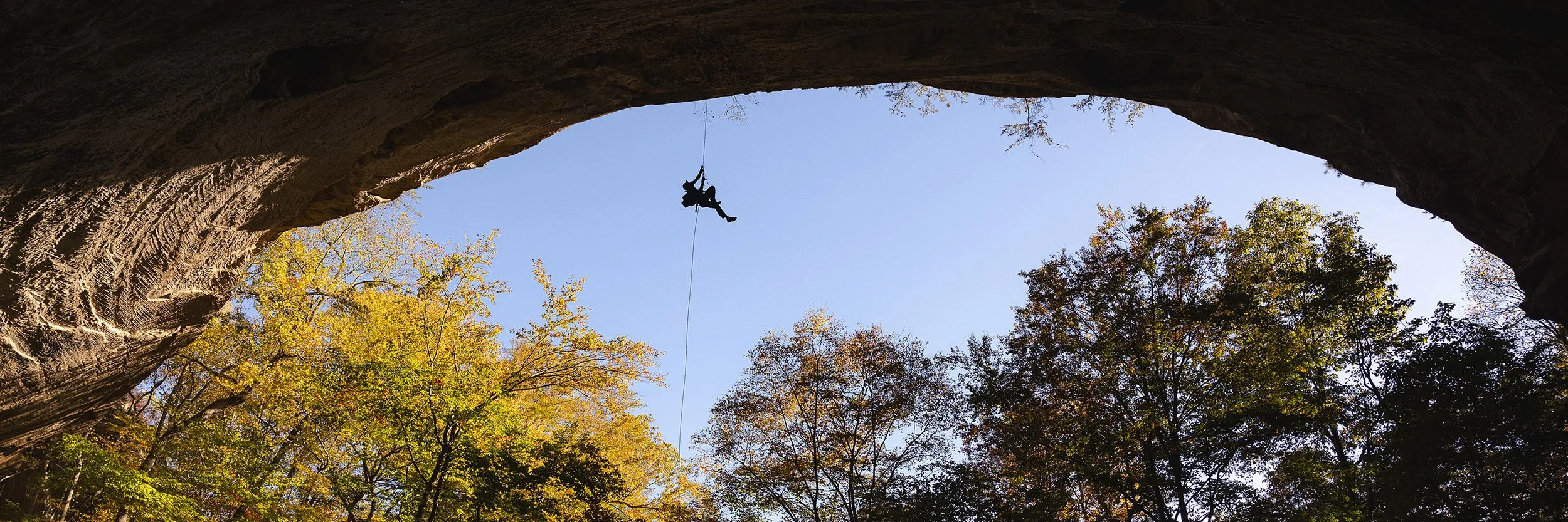 A Year in the Field: Recent Projects from Wilkinson Visual