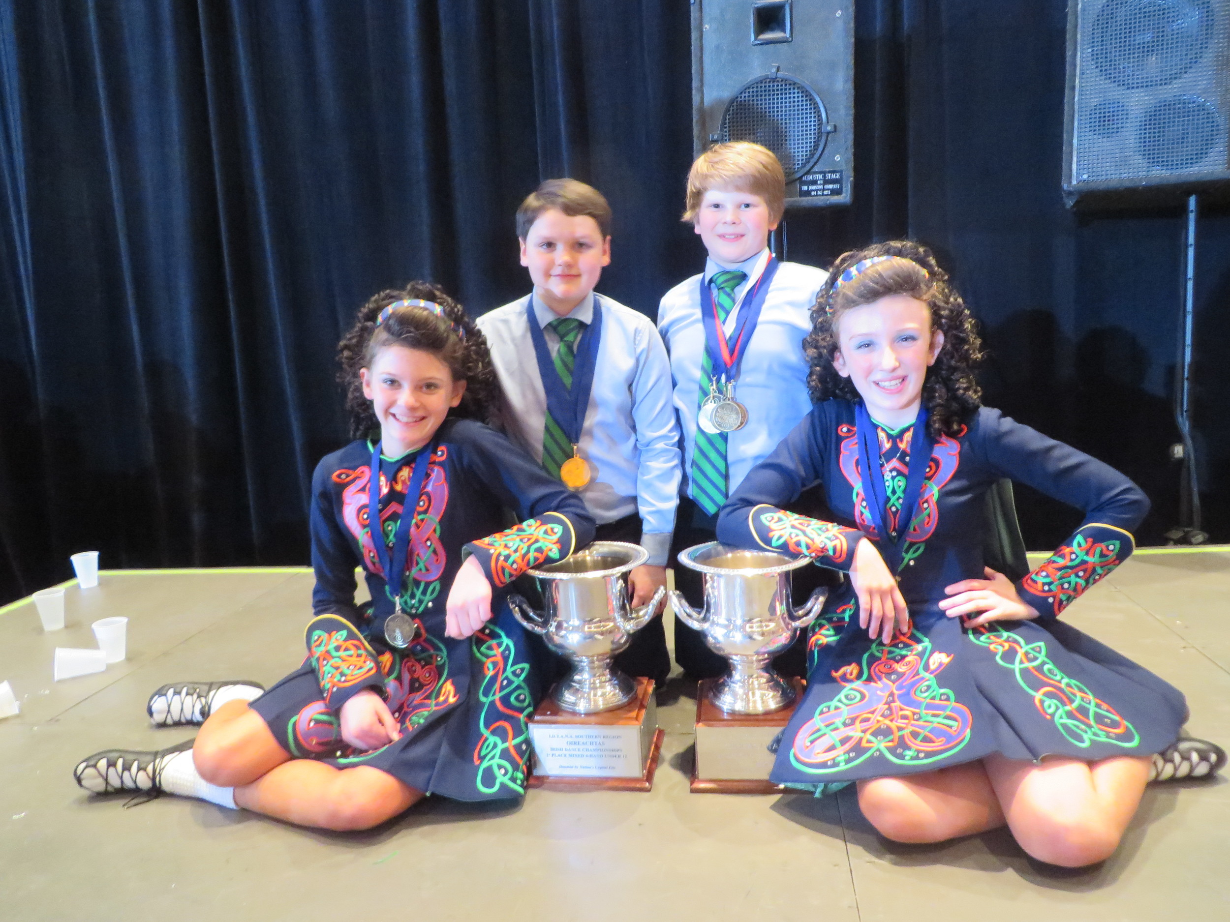 Oireachtas 2014 064.JPG