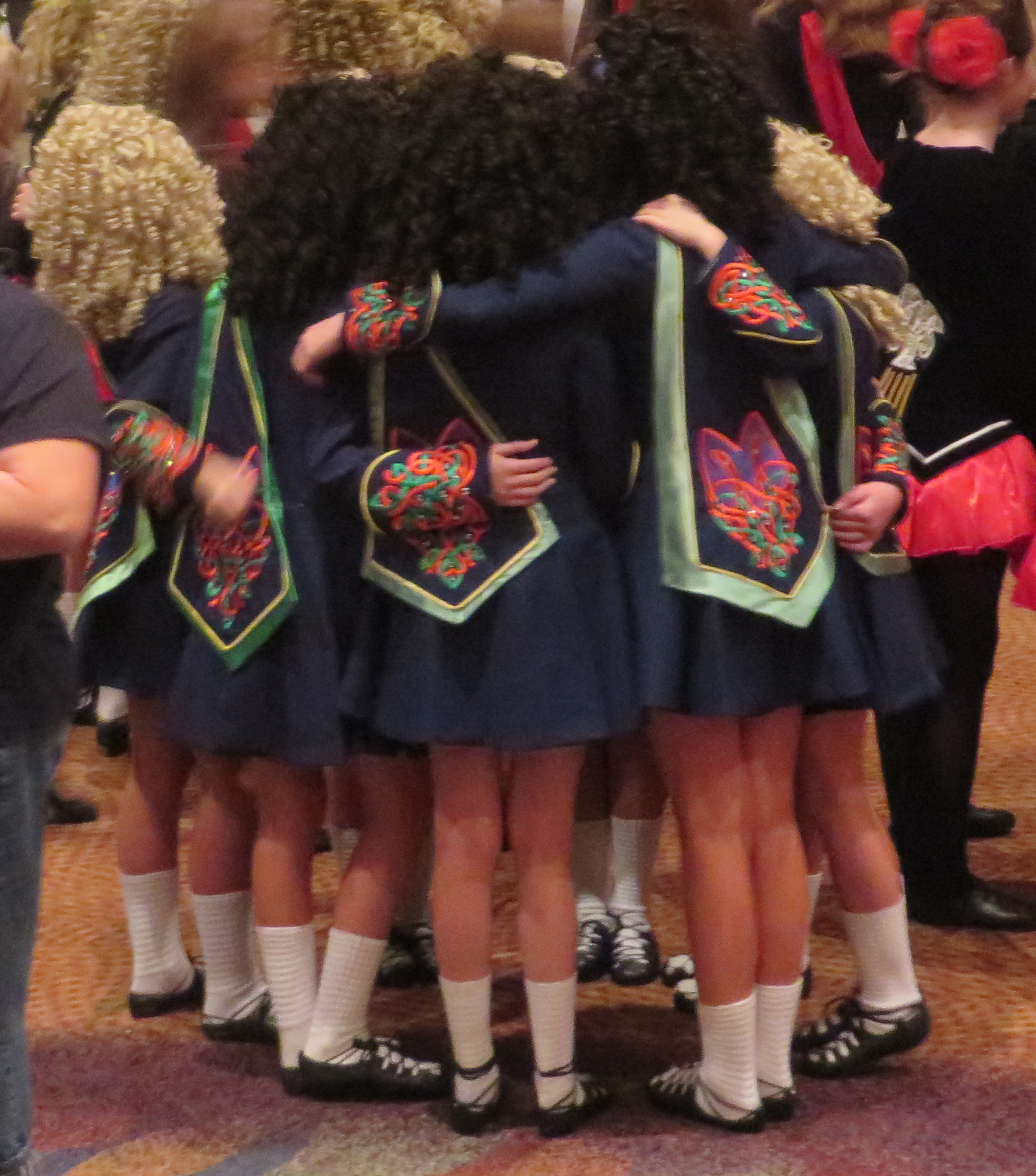 Oireachtas 2014 070b.jpg