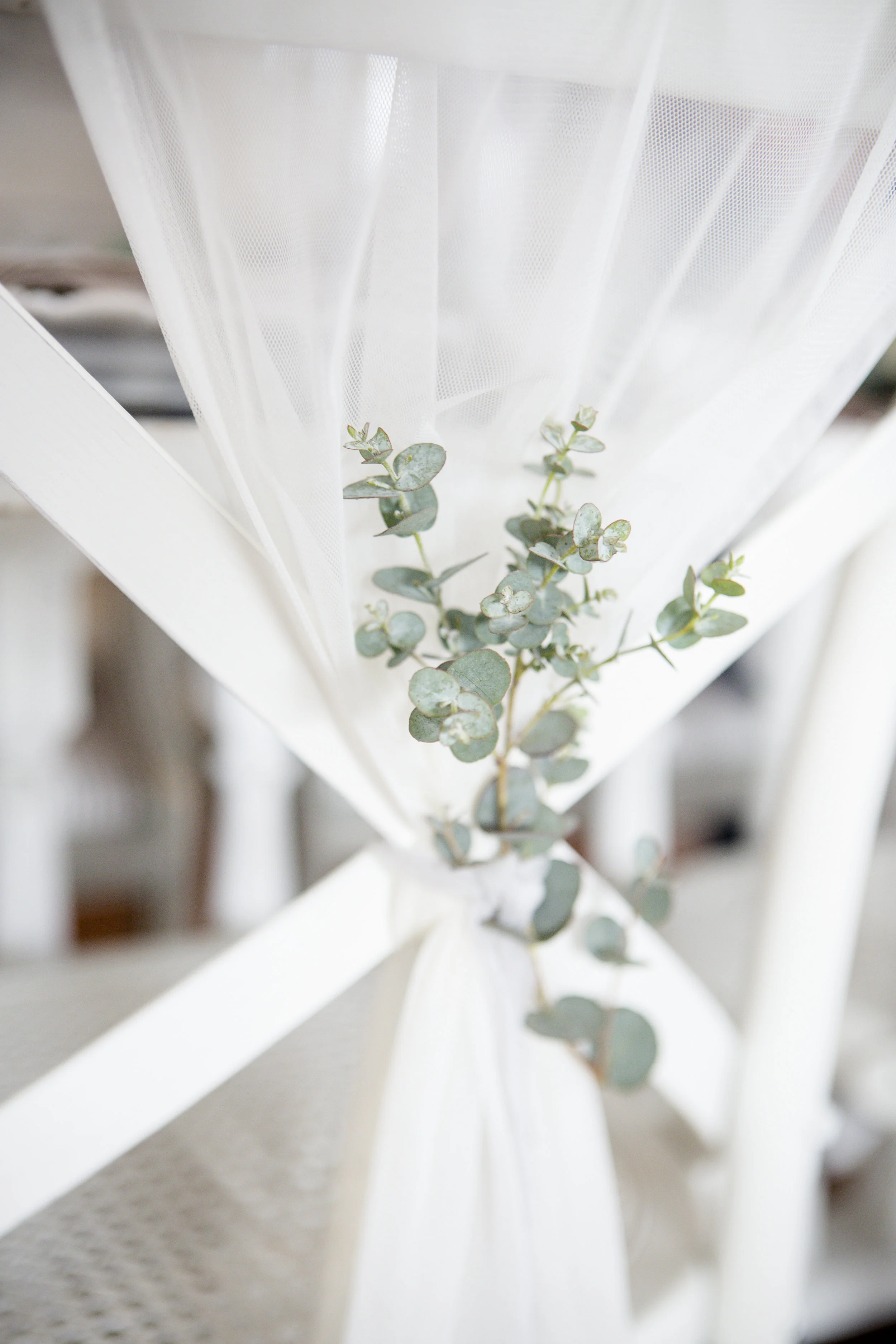 sarakardooni-Editorial- Styled shoot-1.jpg