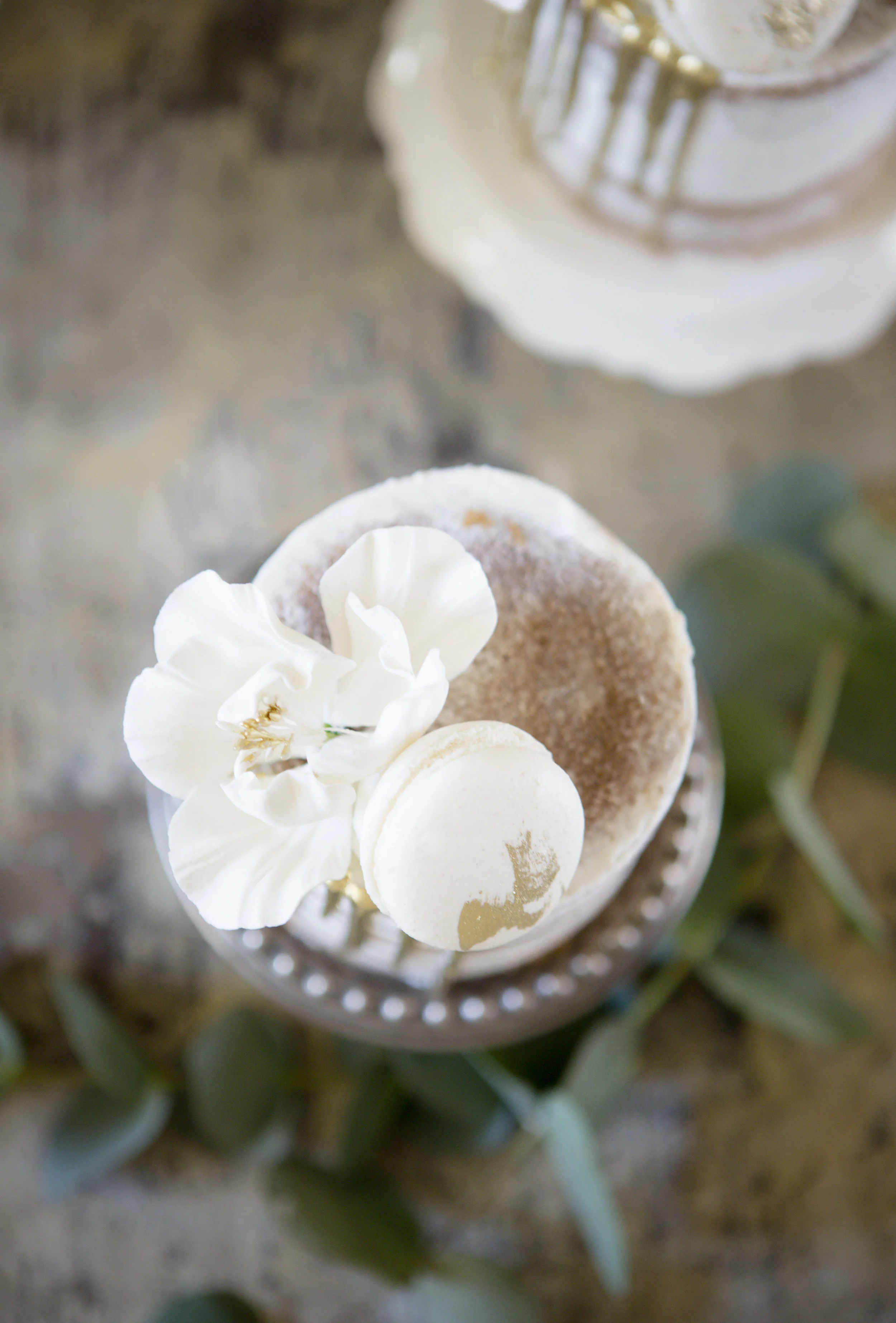 sarakardooni-Editorial- Styled shoot-14.jpg