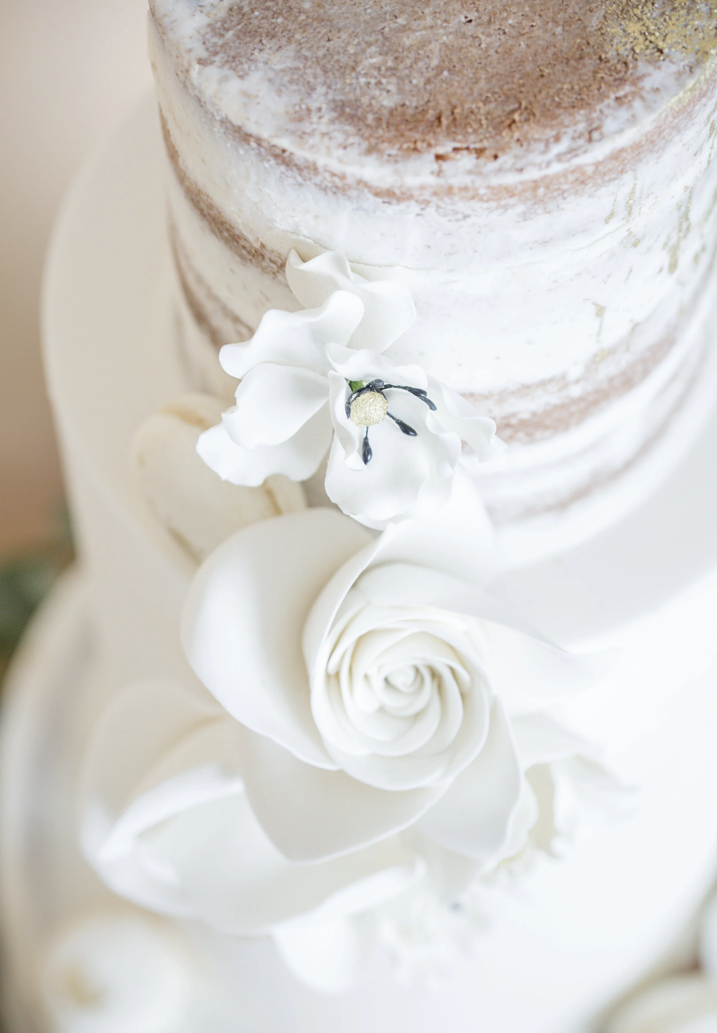 sarakardooni-Editorial- Styled shoot-53.jpg