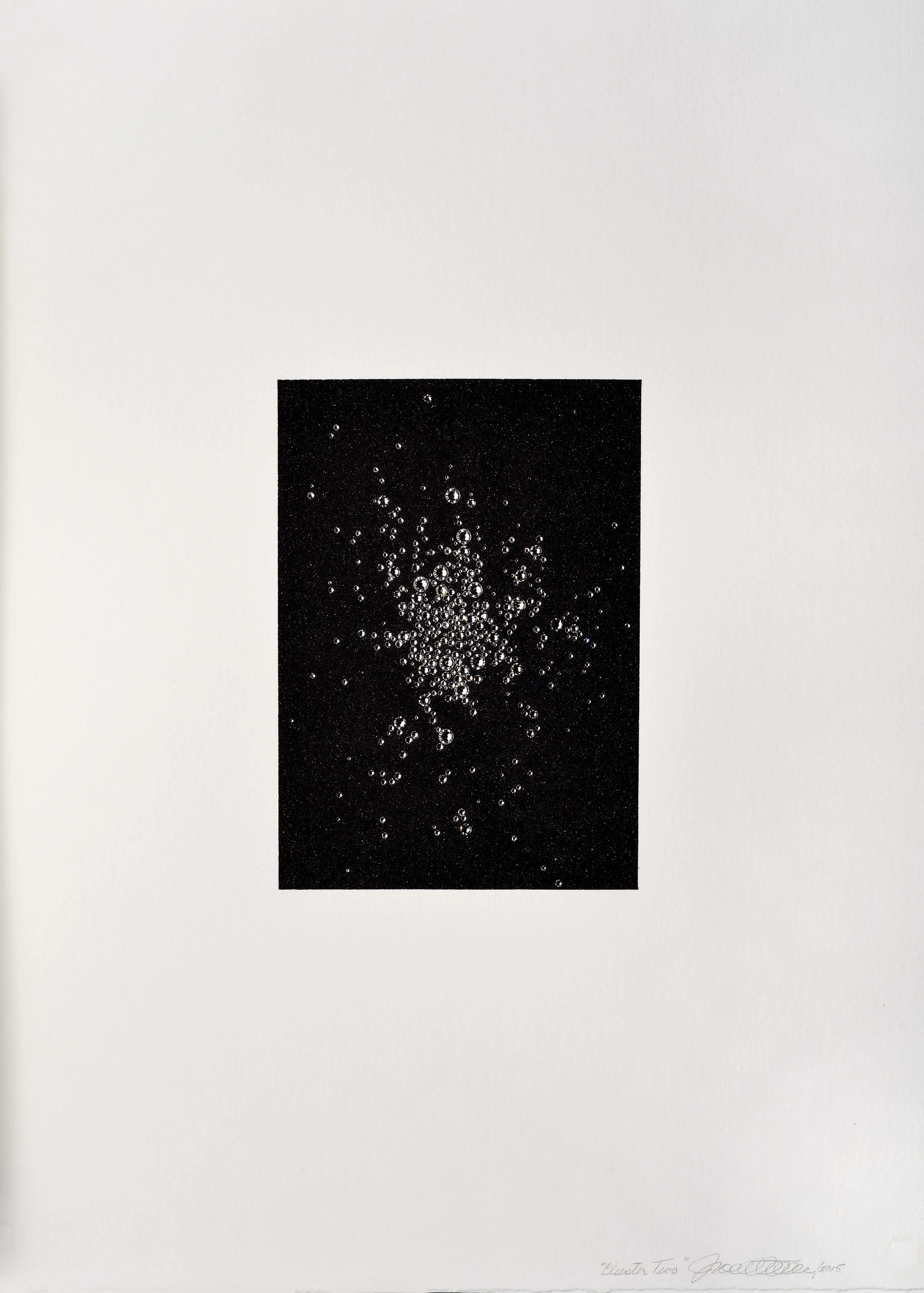 John Noestheden: Cluster 2 (2015), acrylic, titanium, glue, swarovski crystals, arches, (20” X 22.5”)