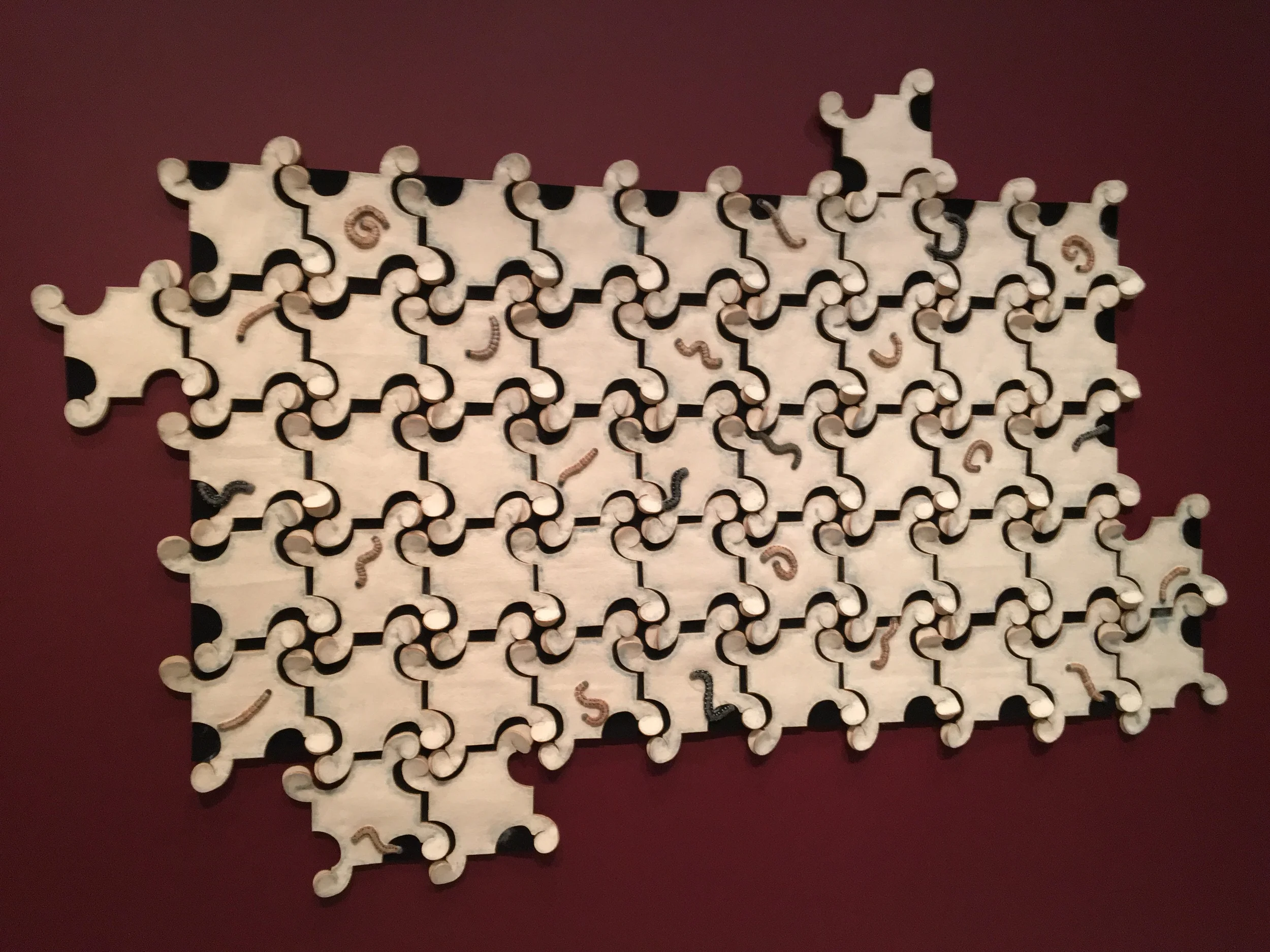 Francisco Toledo. Gusanos (Worms) , 2013.