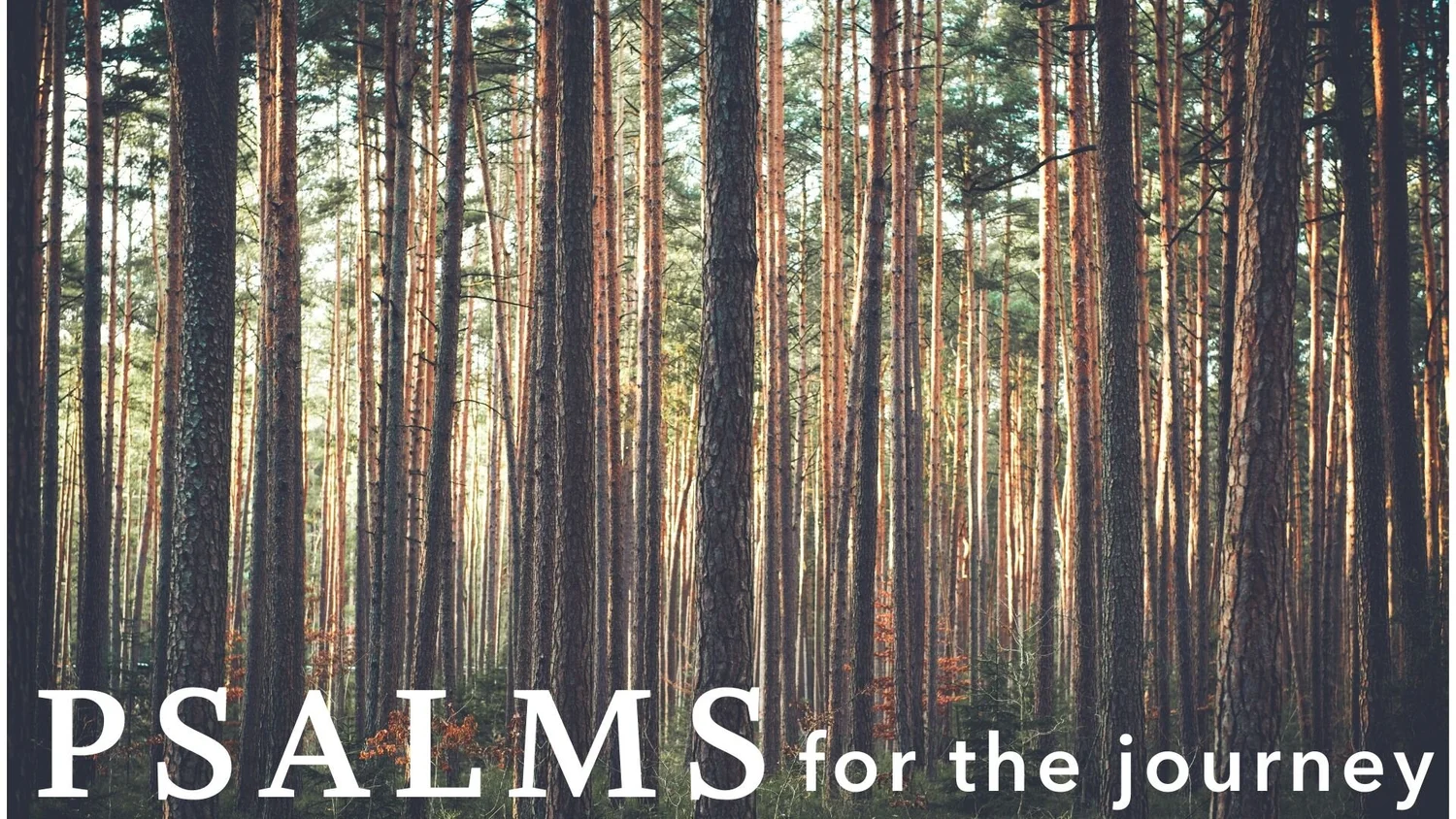 Psalms for the Journey - Psalm 42 episode artwork