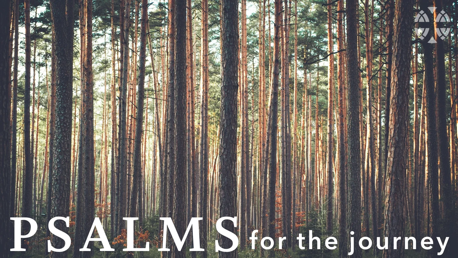 Psalms for the Journey - Psalm 85 episode artwork