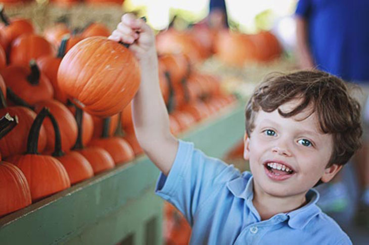 benny picks out a pumpkin at the farmers market
