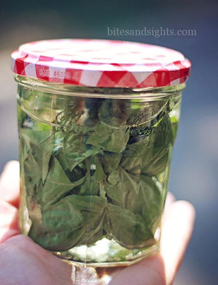 holding the jar of basil infused vodka