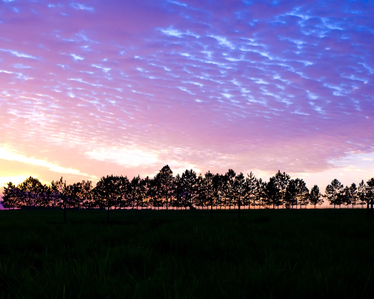 Rima_Berzin_Photography_06.jpg