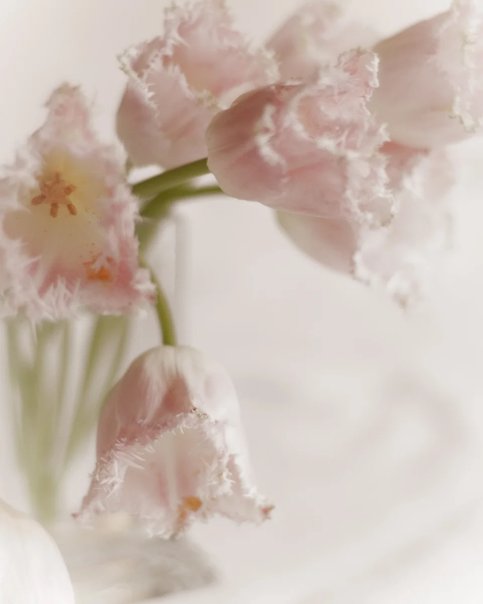 Rima_Berzin_Photography_DSC_3082_01.jpg