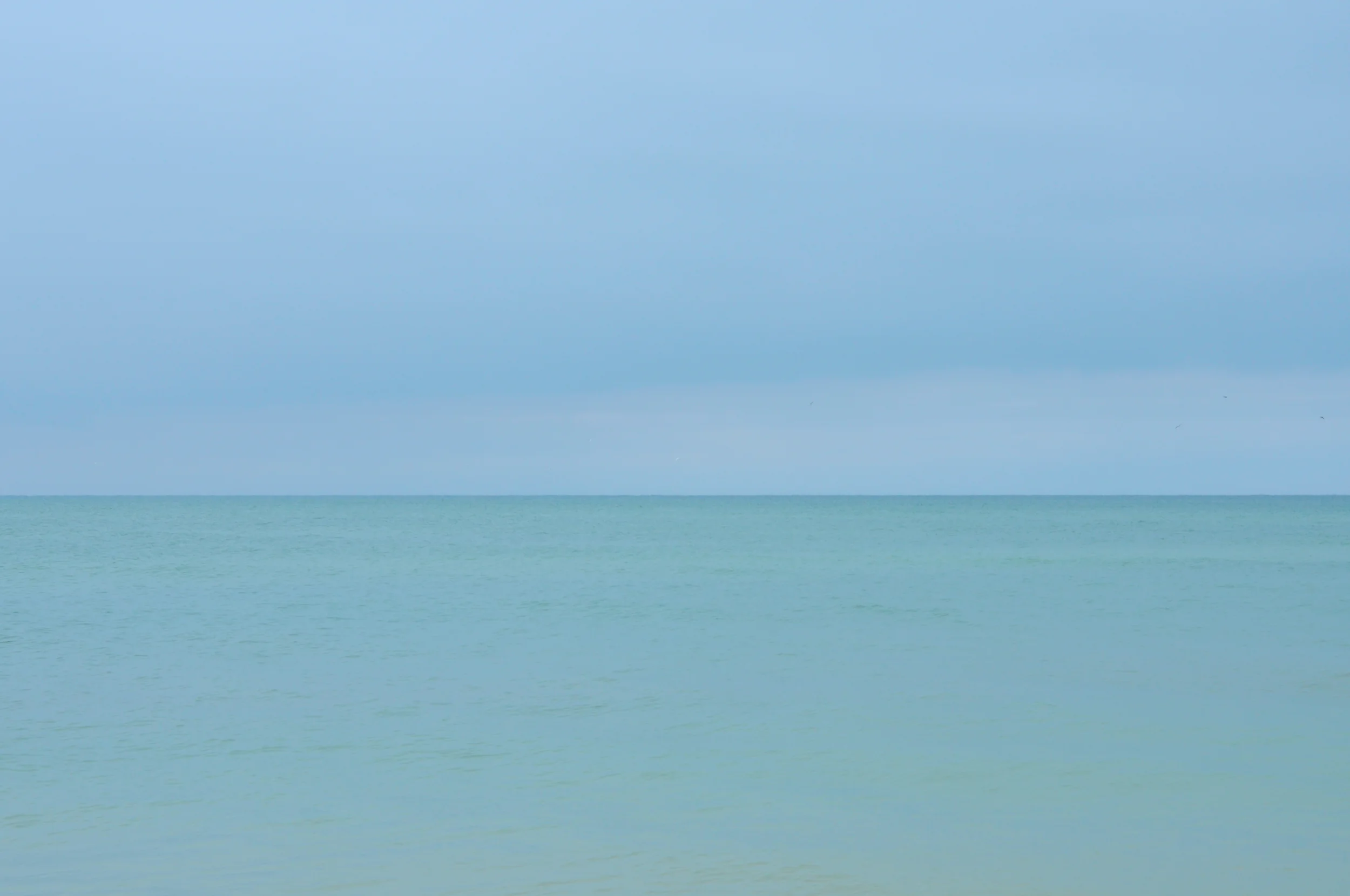 DSC_0130.jpg