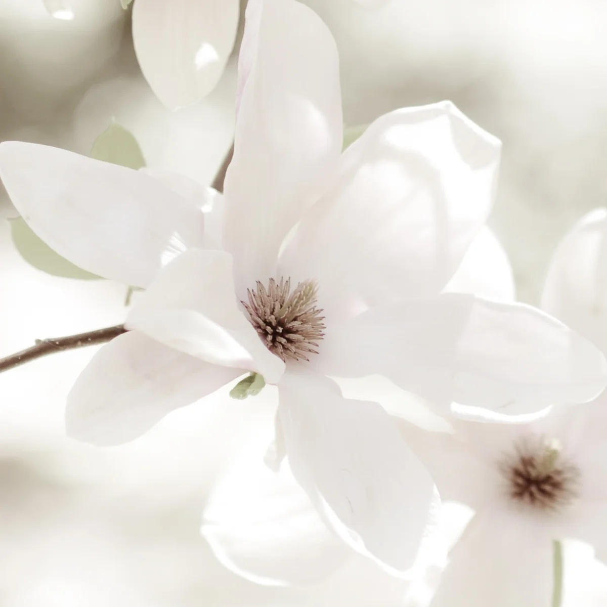 Rima_Berzin_Photography_07.jpg