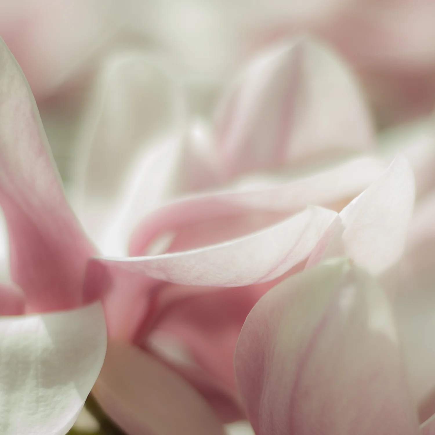 Rima_Berzin_Photography_DSC_3183_.jpg