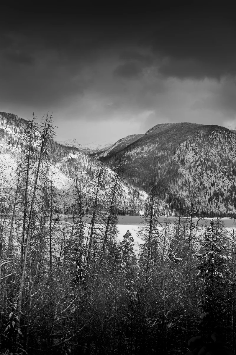IMG_7719.jpg