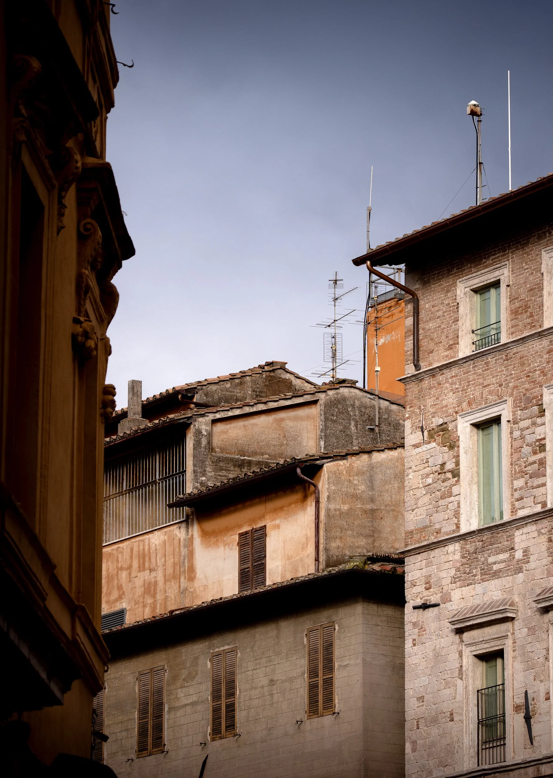 DSC07959.jpg