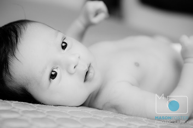 SH_130629_4186.jpg