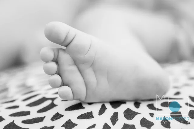 EL_130629_5100.jpg