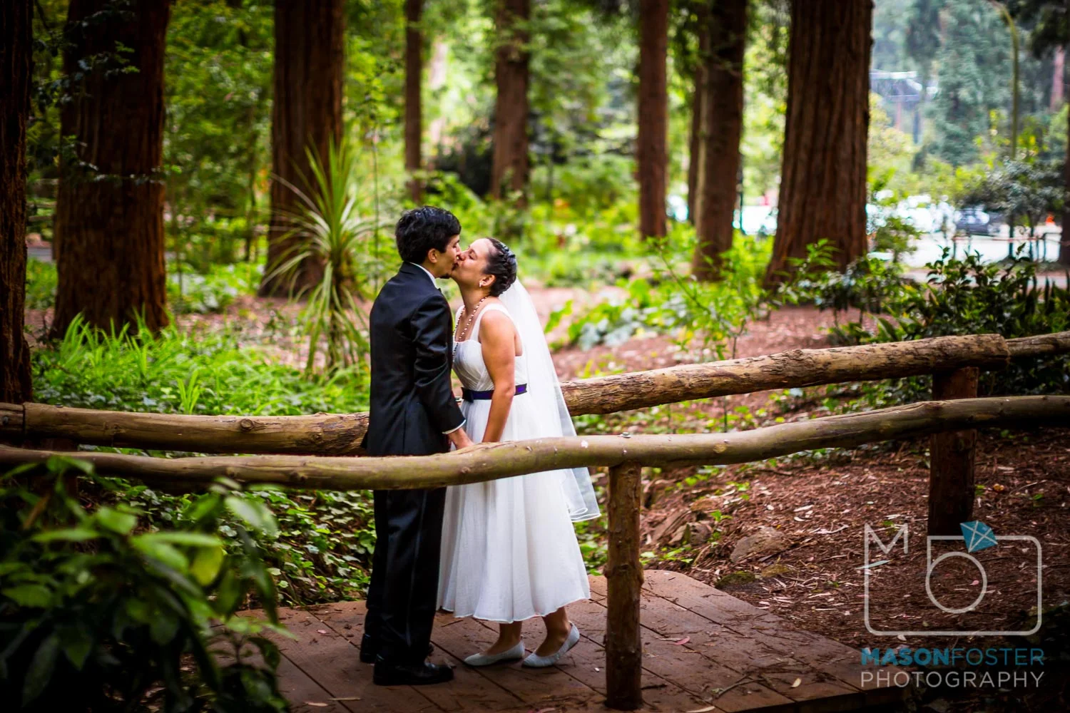 first look in Stern Grove | san francisco wedding photography