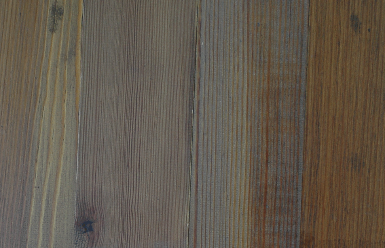 pine1webpage.gif