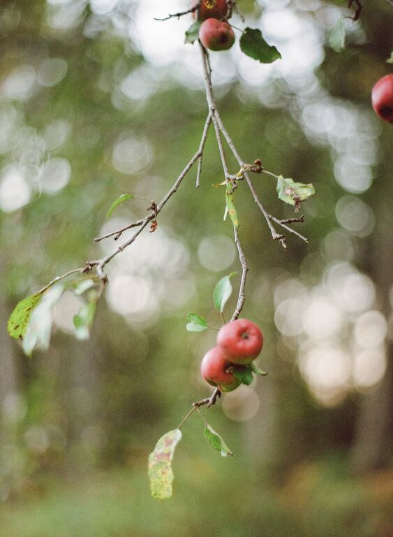 Photo by Heather Waraksa