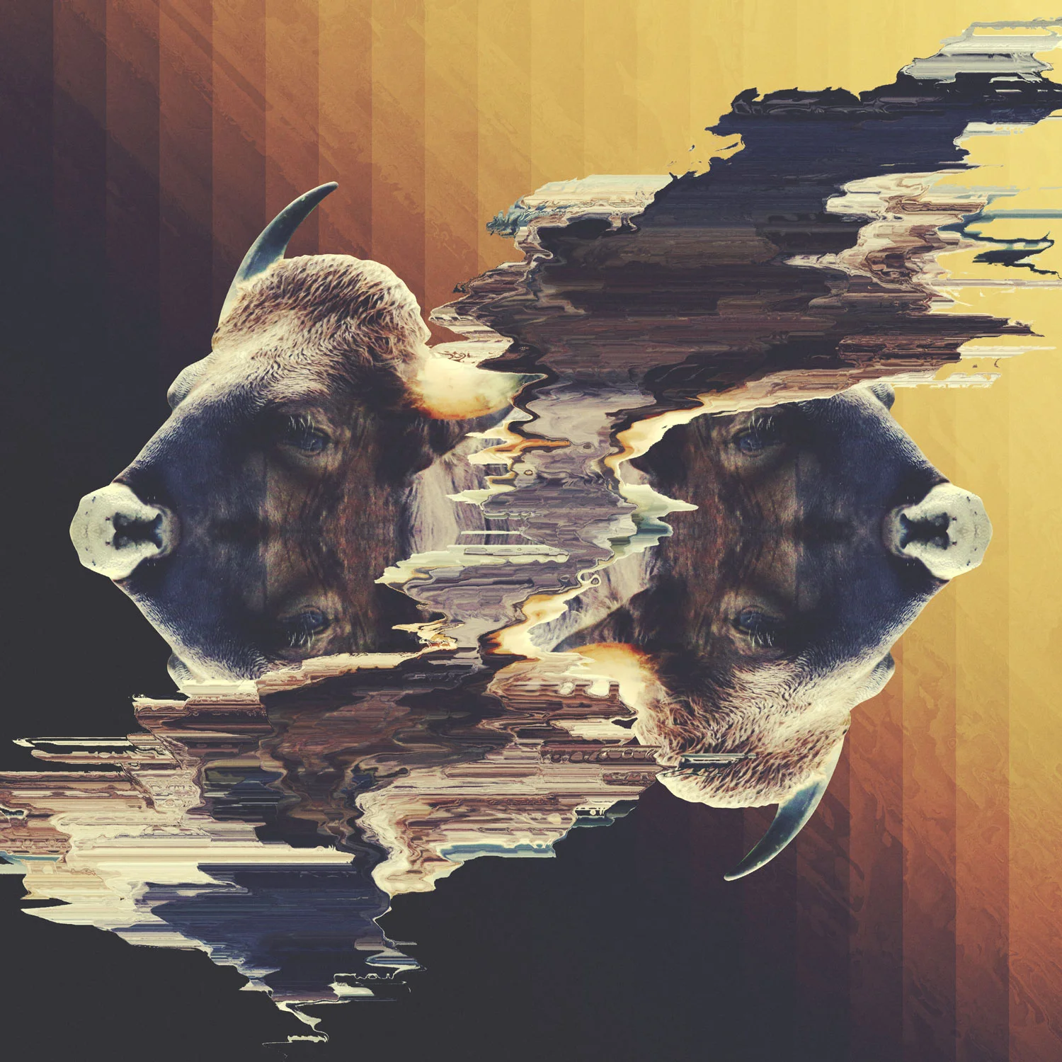 Horns. 20140107