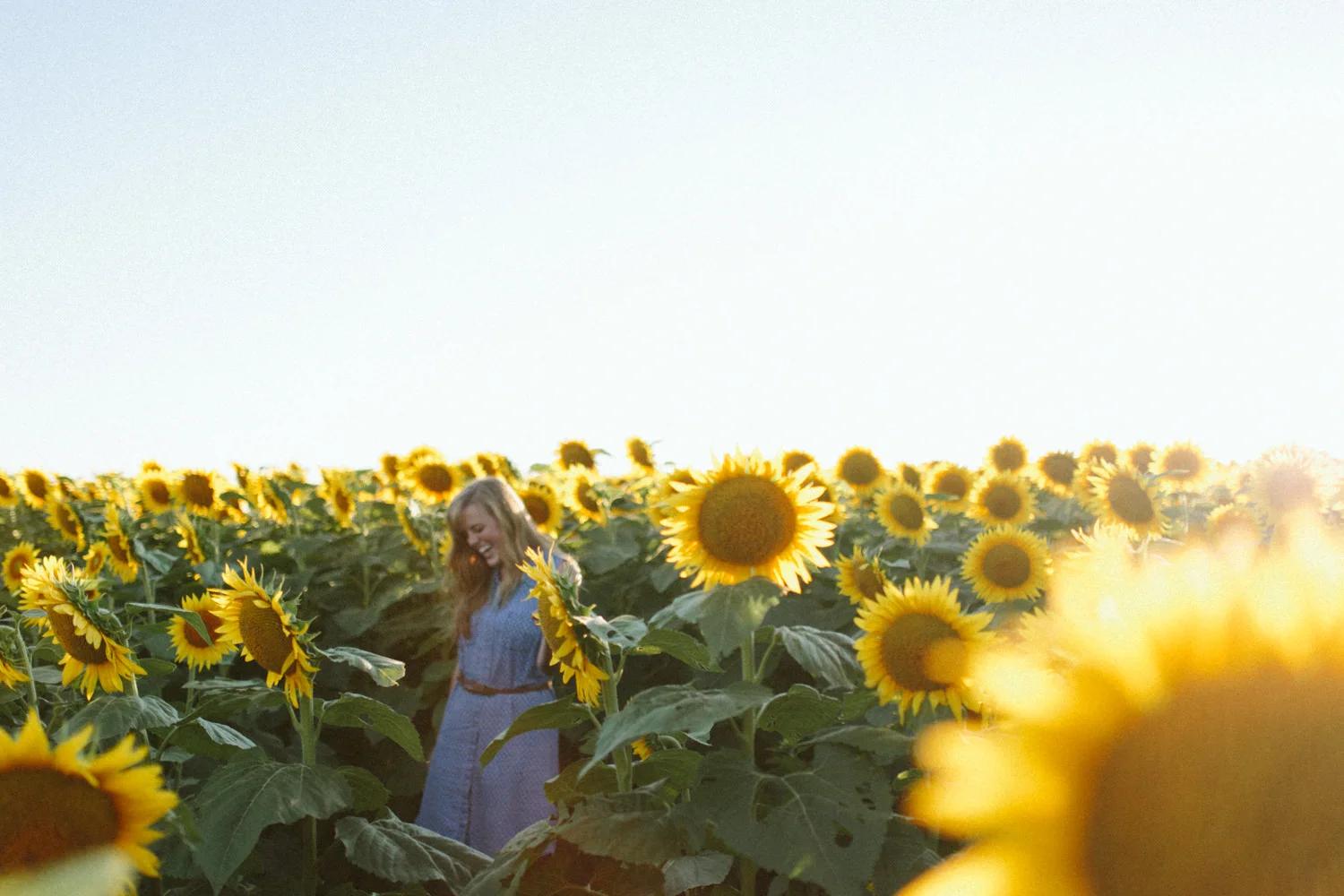 Grinters Sunflowers, Lawrence KS Portraits Casie — Ali Happer