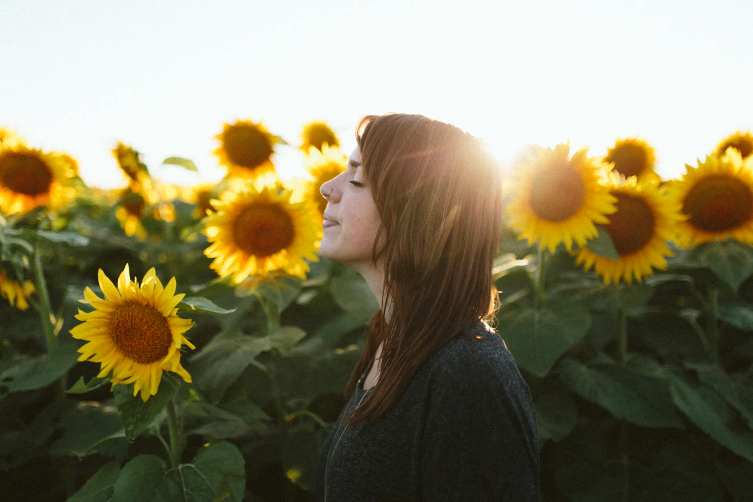 Grinters Sunflowers, Lawrence KS Portraits Casie — Ali Happer